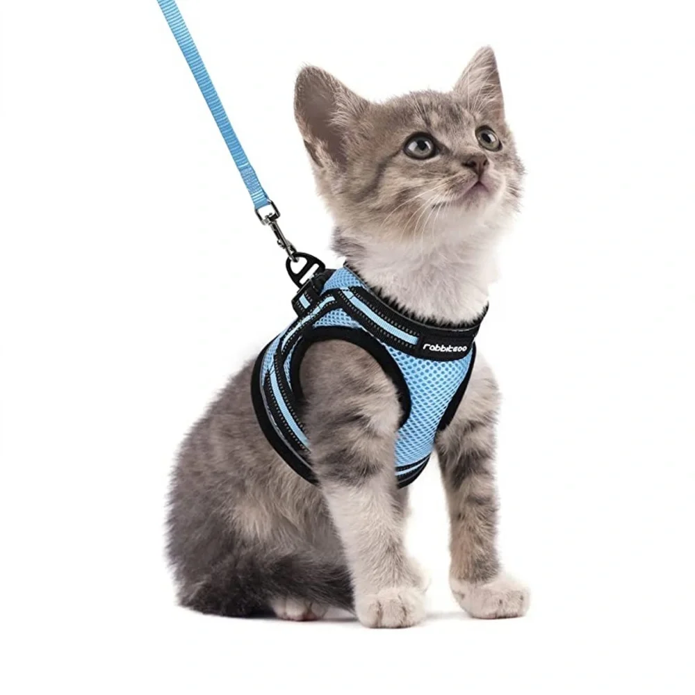 Kitten Harness & Leash ( baby blue )